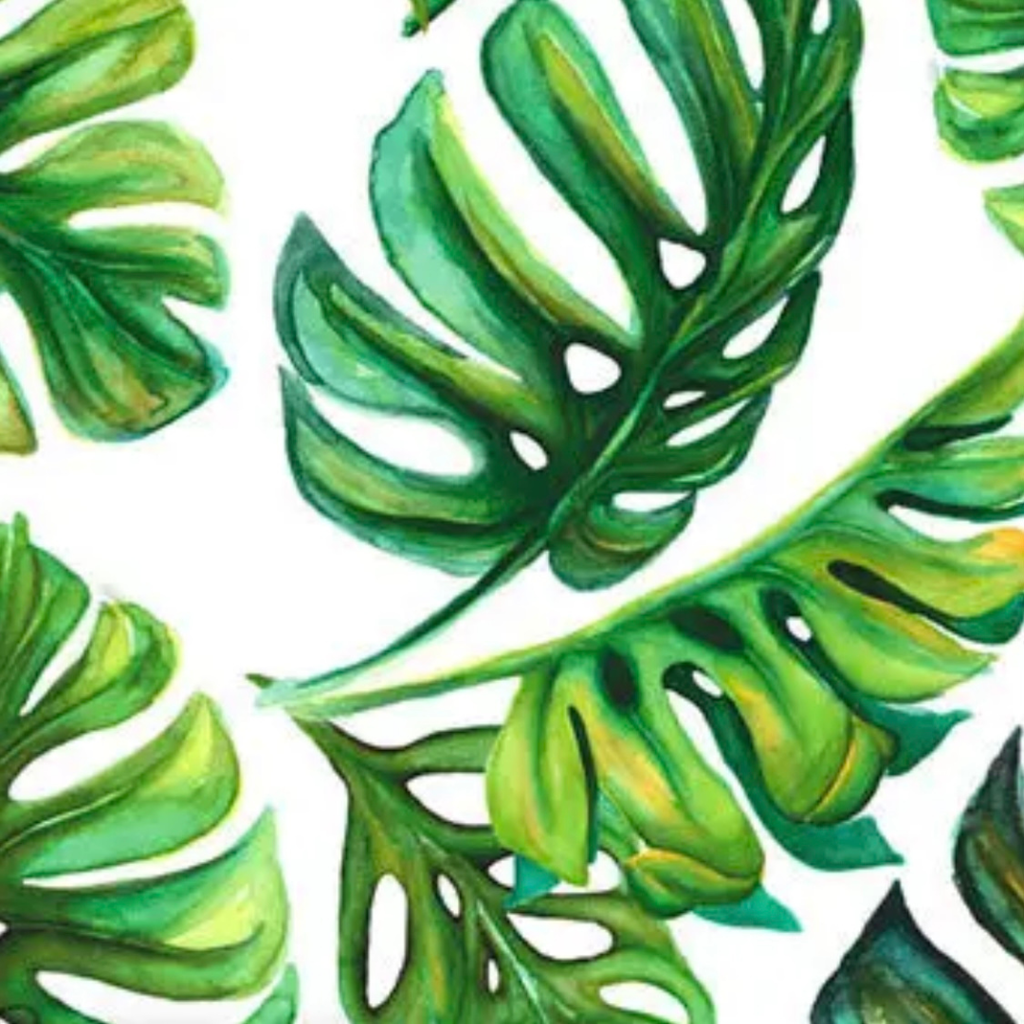 Pattern of green tropical leaves on a white background