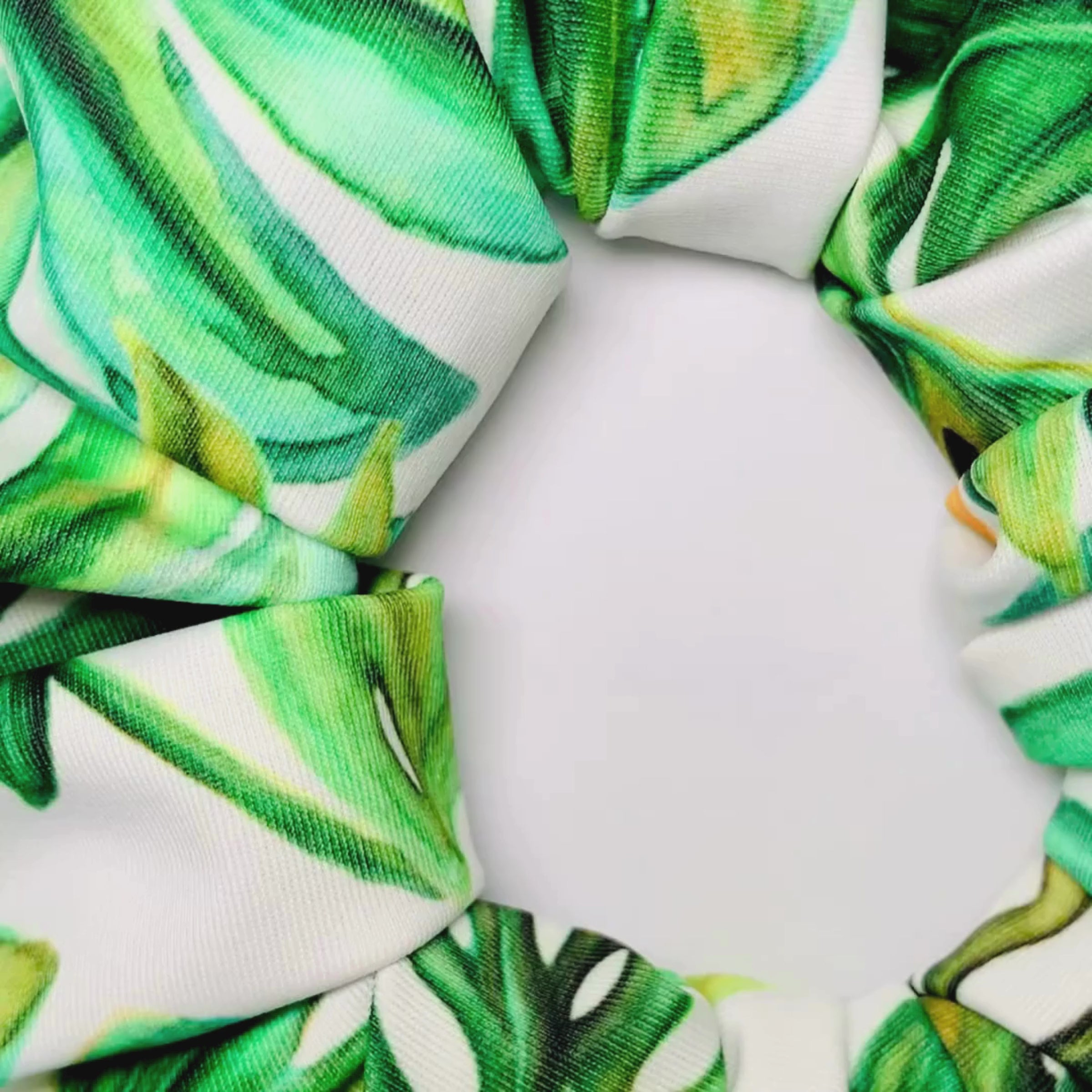 Pattern of green tropical leaves on a white background video