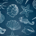 Pattern of white sea shells and starfish on a blue background
